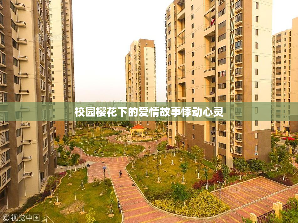 校园樱花下的爱情故事悸动心灵