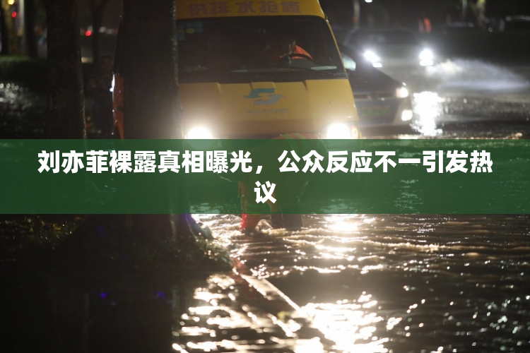 刘亦菲裸露真相曝光，公众反应不一引发热议