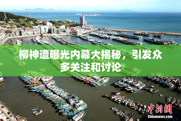 柳神遭曝光内幕大揭秘，引发众多关注和讨论