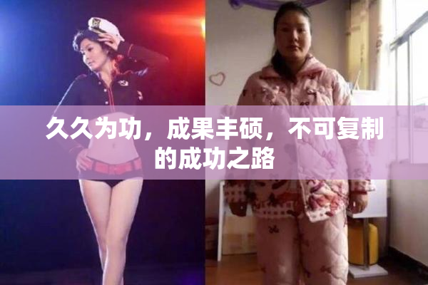 久久为功，成果丰硕，不可复制的成功之路