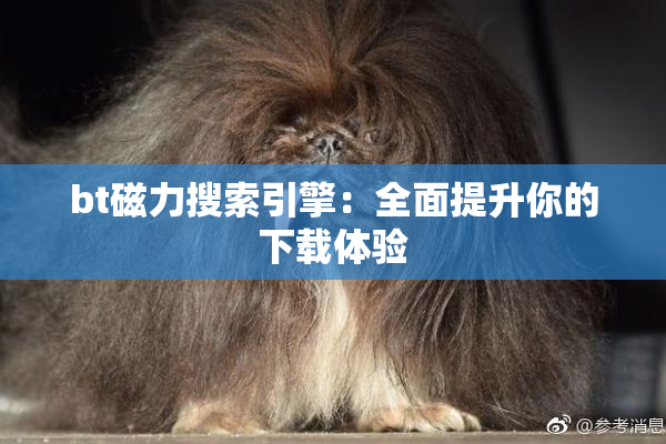 bt磁力搜索引擎：全面提升你的下载体验