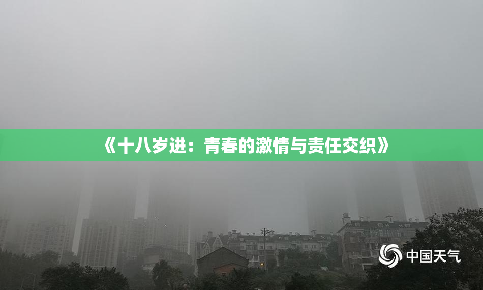 《十八岁进：青春的激情与责任交织》