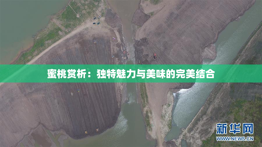 蜜桃赏析：独特魅力与美味的完美结合