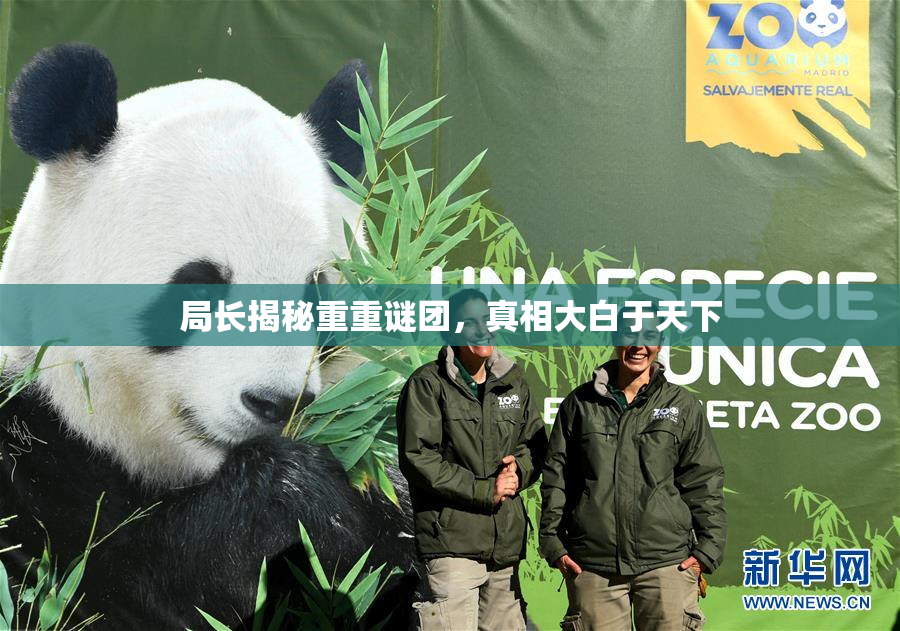 局长揭秘重重谜团，真相大白于天下