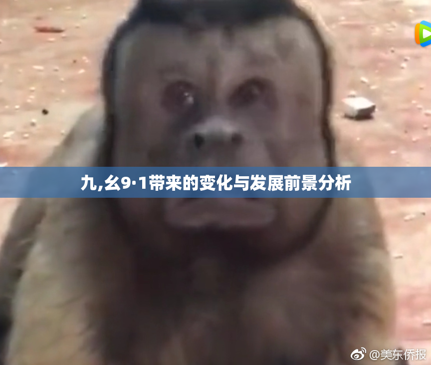 九,幺9·1带来的变化与发展前景分析