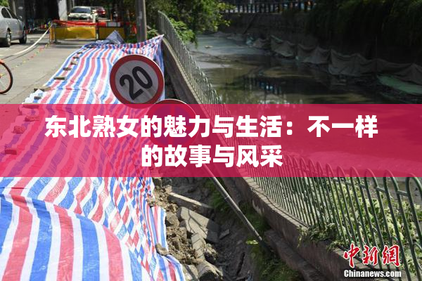 东北熟女的魅力与生活：不一样的故事与风采