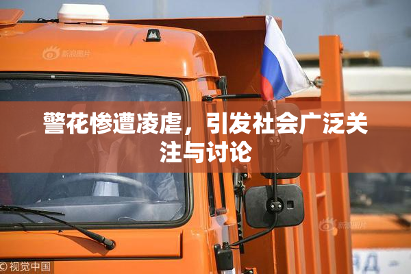 警花惨遭凌虐，引发社会广泛关注与讨论