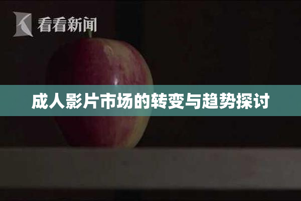 成人影片市场的转变与趋势探讨