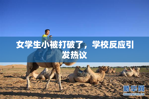 女学生小被打破了，学校反应引发热议