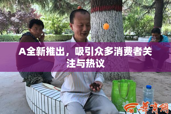 A全新推出，吸引众多消费者关注与热议