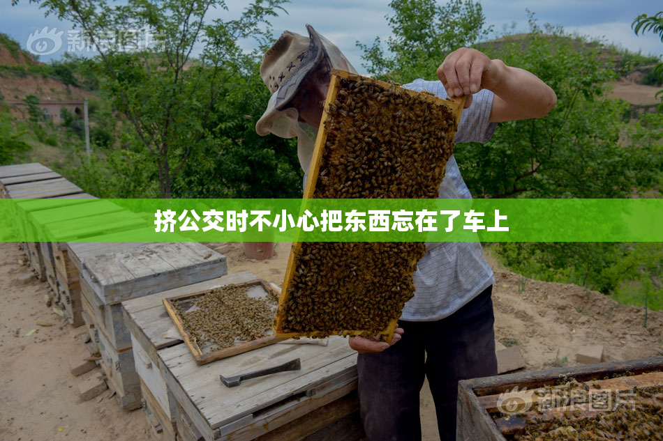 挤公交时不小心把东西忘在了车上