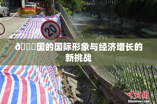 🔞国的国际形象与经济增长的新挑战