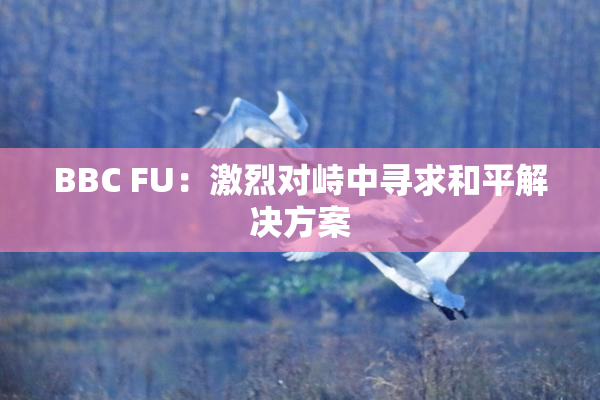 BBC FU：激烈对峙中寻求和平解决方案