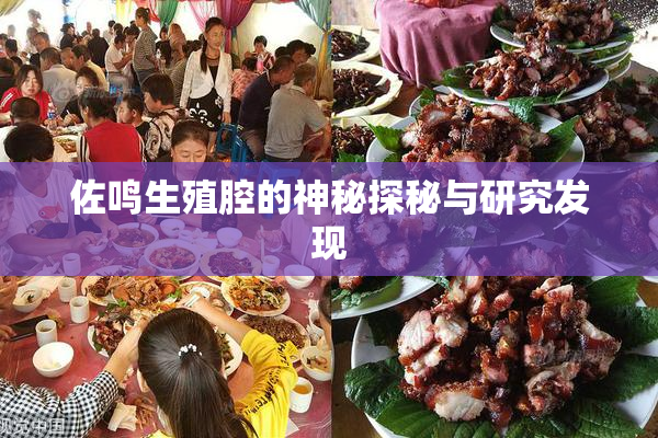 佐鸣生殖腔的神秘探秘与研究发现