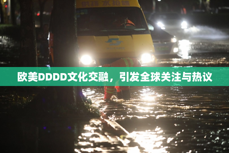 欧美DDDD文化交融，引发全球关注与热议