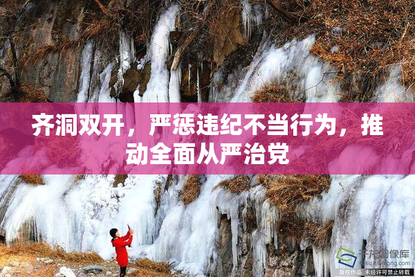 齐洞双开，严惩违纪不当行为，推动全面从严治党