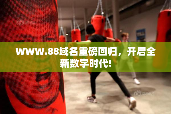 WWW.88域名重磅回归，开启全新数字时代!