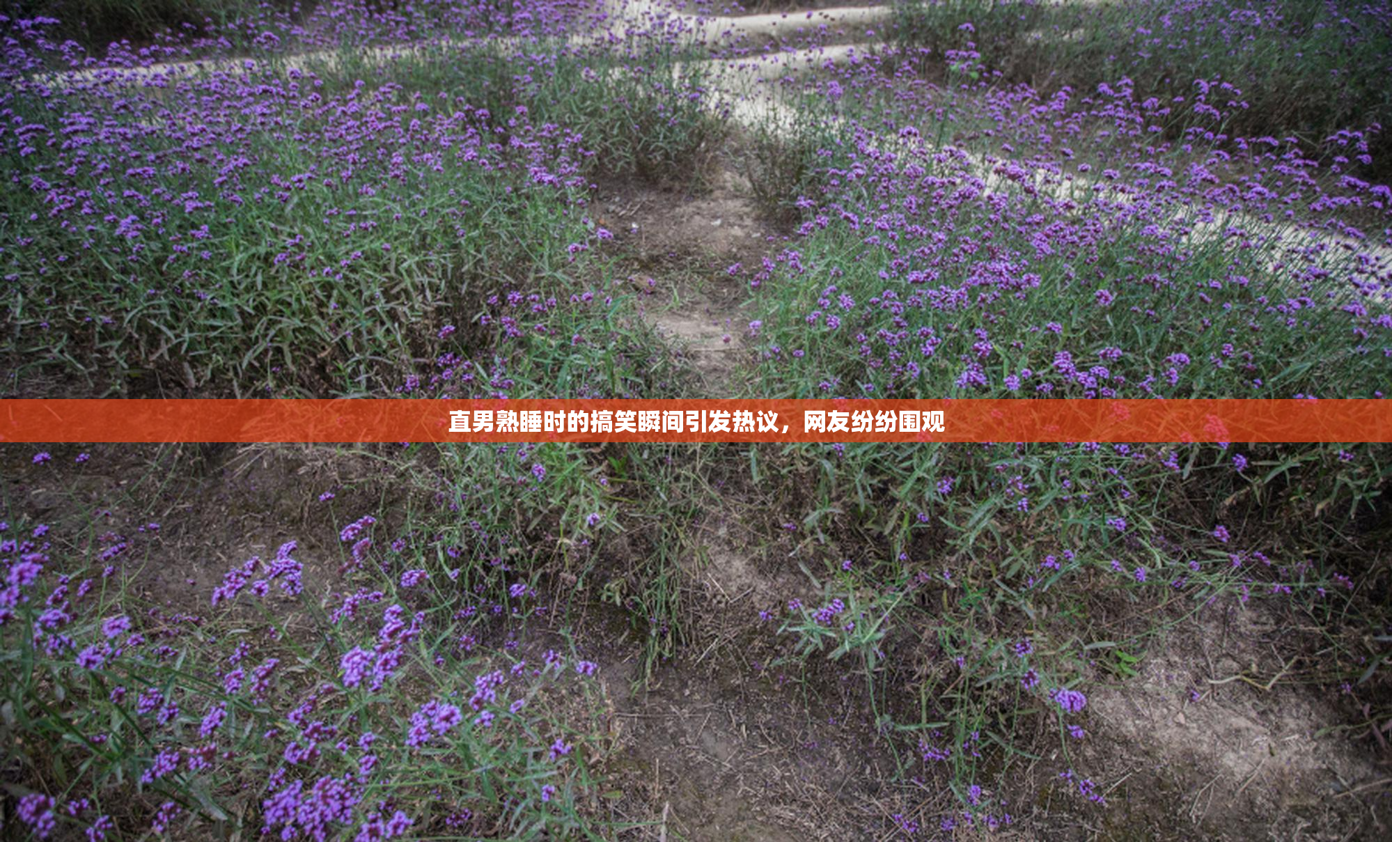 直男熟睡时的搞笑瞬间引发热议，网友纷纷围观