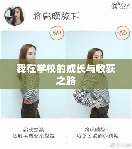 我在学校的成长与收获之路