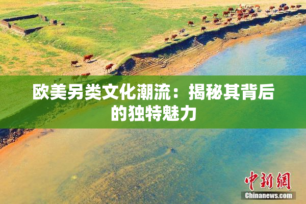 欧美另类文化潮流：揭秘其背后的独特魅力