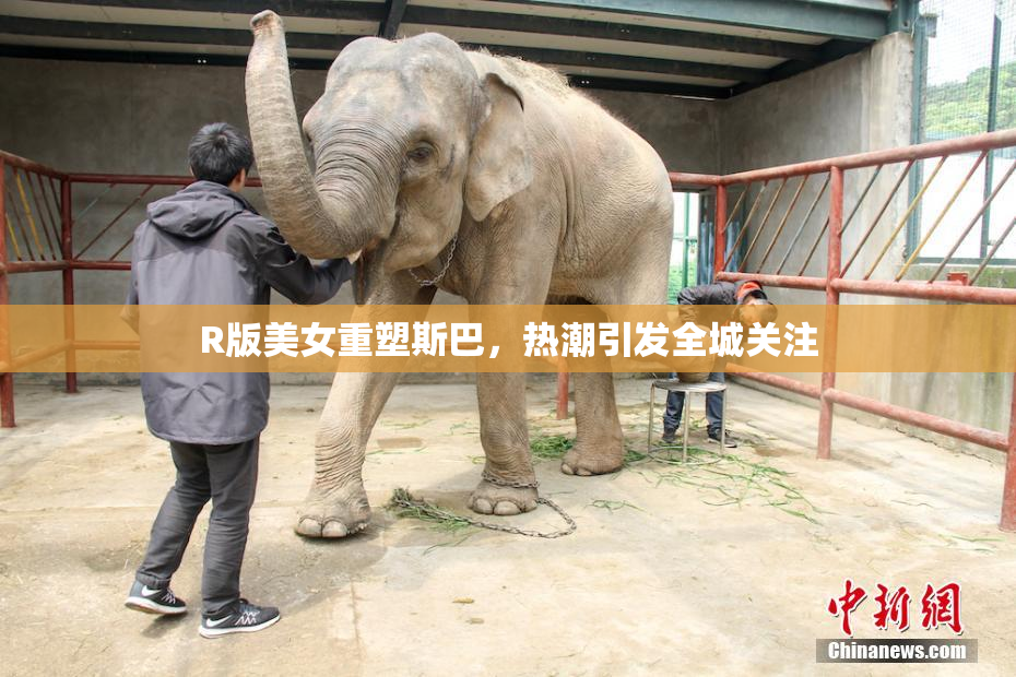 R版美女重塑斯巴，热潮引发全城关注