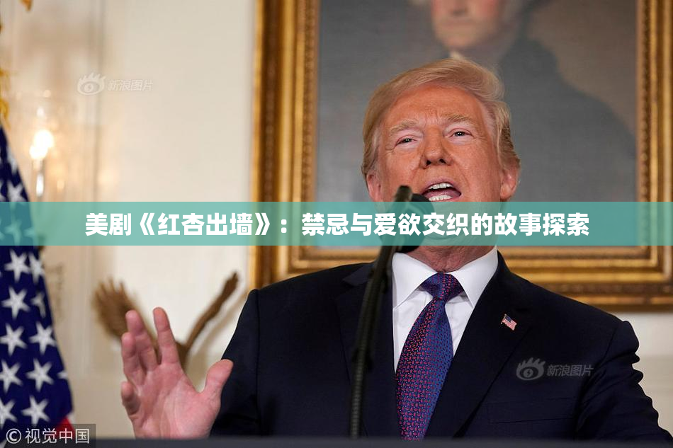 美剧《红杏出墙》：禁忌与爱欲交织的故事探索