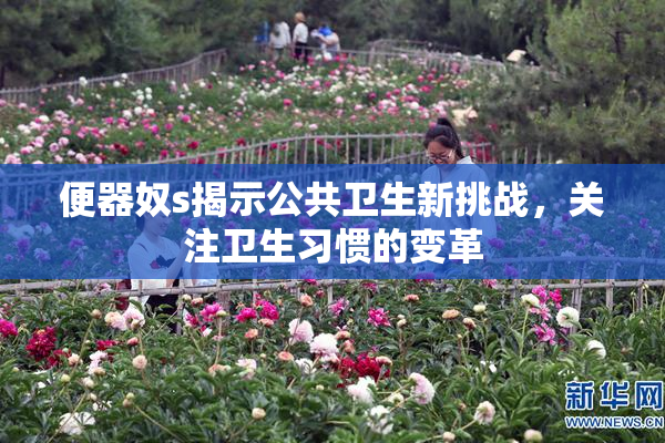 便器奴s揭示公共卫生新挑战，关注卫生习惯的变革
