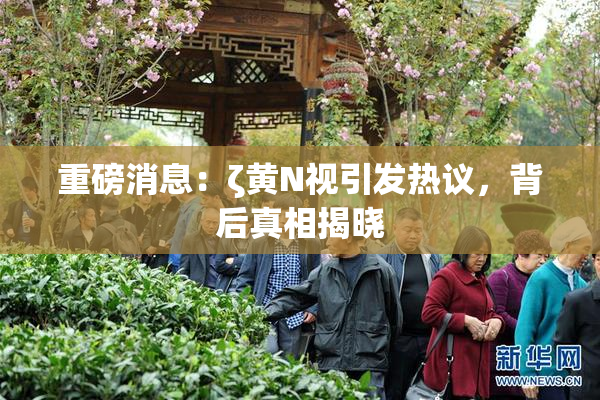 重磅消息：ζ黄Ν视引发热议，背后真相揭晓