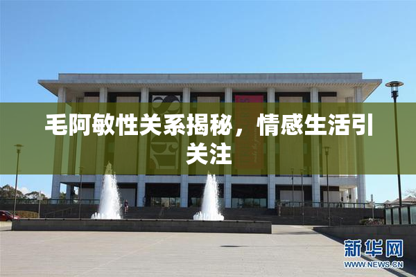毛阿敏性关系揭秘，情感生活引关注