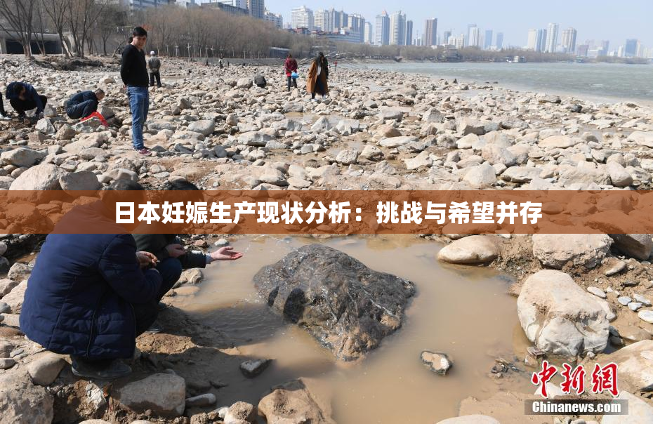 日本妊娠生产现状分析：挑战与希望并存