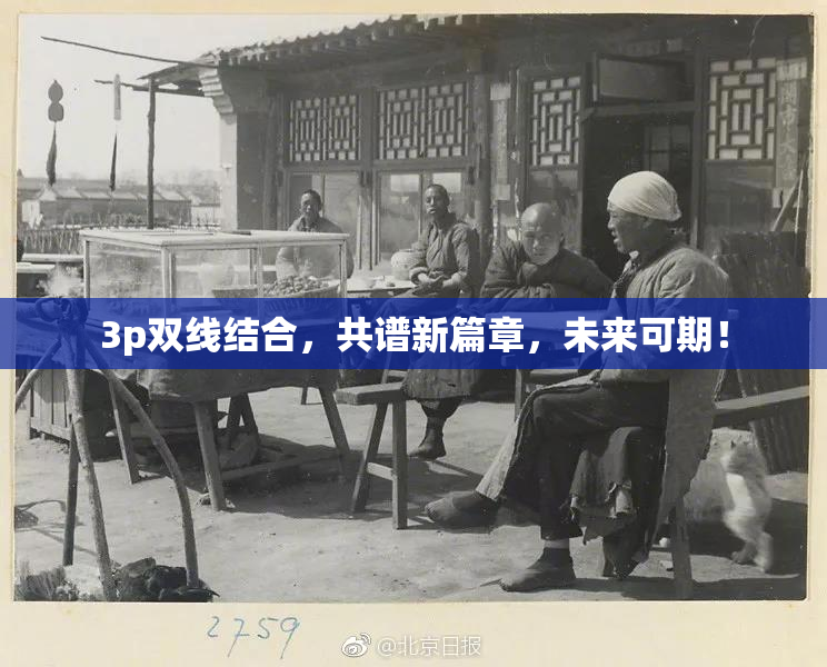 3p双线结合，共谱新篇章，未来可期！