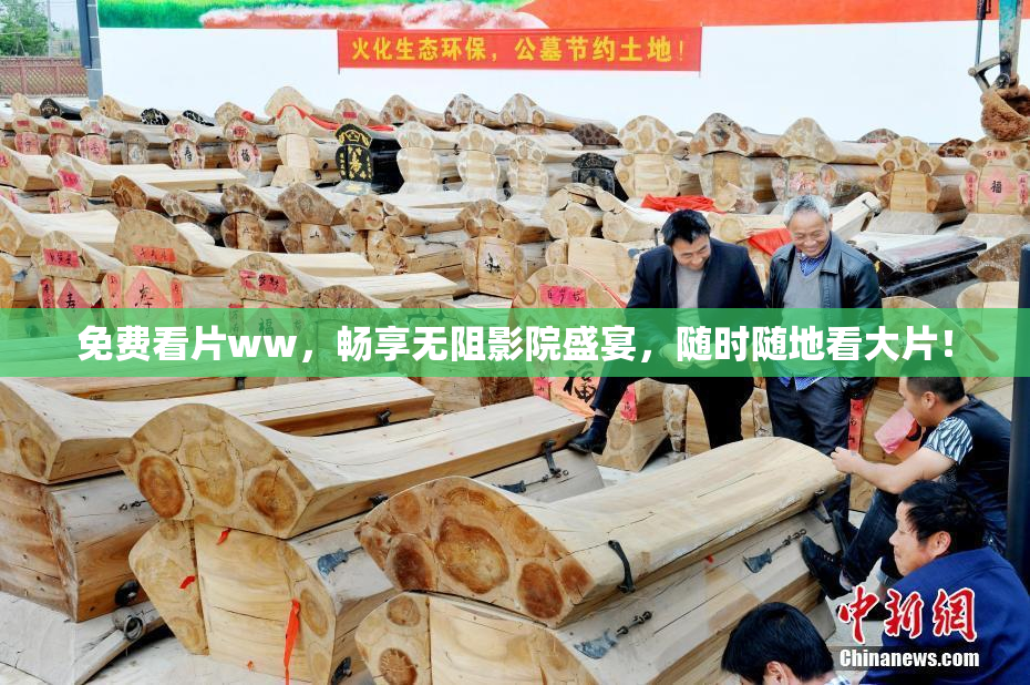 免费看片ww，畅享无阻影院盛宴，随时随地看大片！
