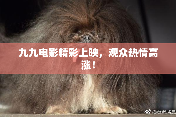 九九电影精彩上映，观众热情高涨！