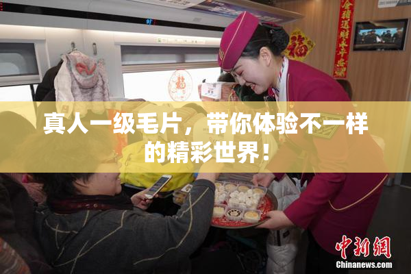 真人一级毛片，带你体验不一样的精彩世界！