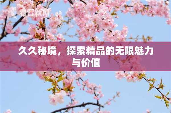 久久秘境，探索精品的无限魅力与价值