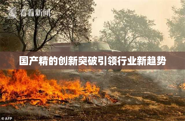 国产精的创新突破引领行业新趋势
