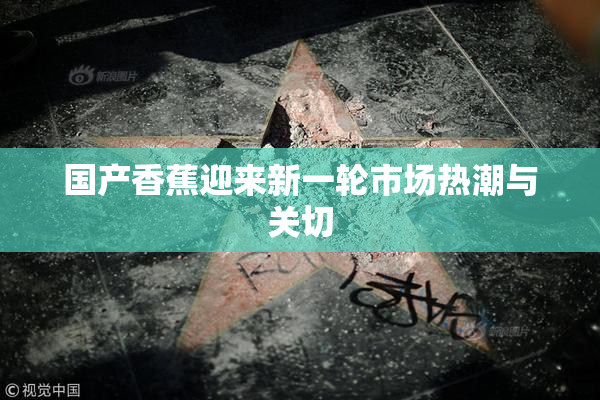 国产香蕉迎来新一轮市场热潮与关切