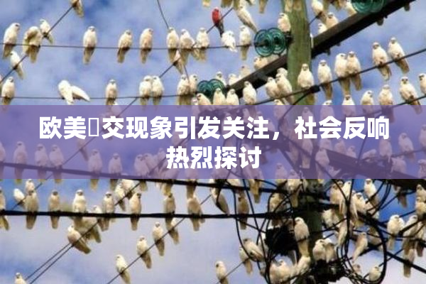 欧美嘼交现象引发关注，社会反响热烈探讨