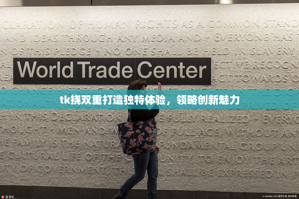 tk挠双重打造独特体验，领略创新魅力
