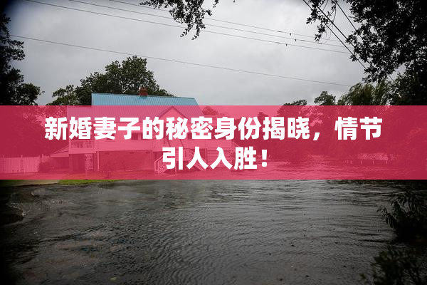 新婚妻子的秘密身份揭晓，情节引人入胜！