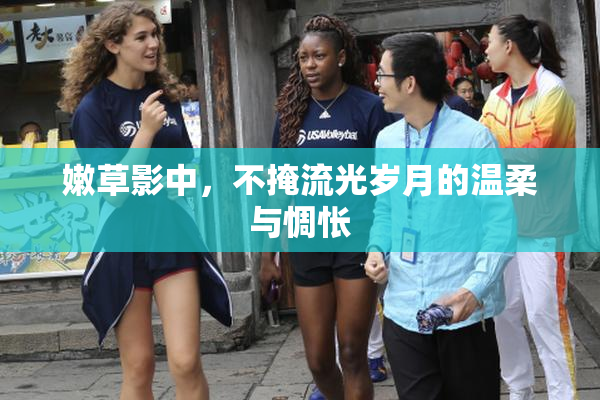 嫩草影中，不掩流光岁月的温柔与惆怅