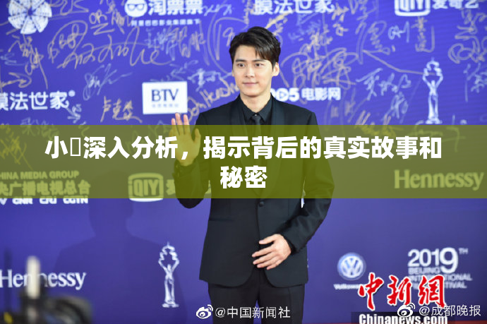 小泬深入分析，揭示背后的真实故事和秘密