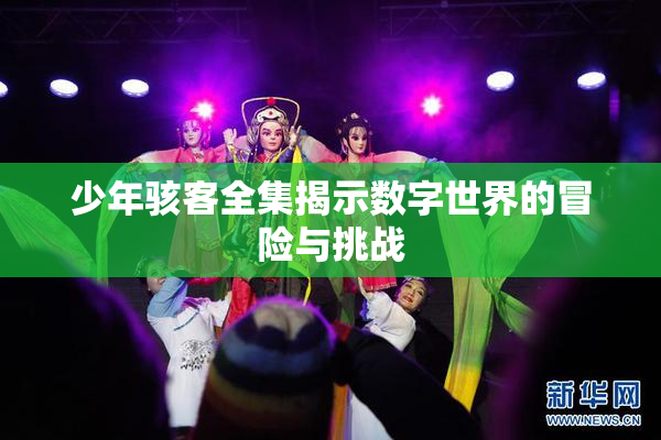 少年骇客全集揭示数字世界的冒险与挑战