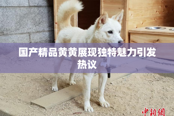 国产精品黄黄展现独特魅力引发热议