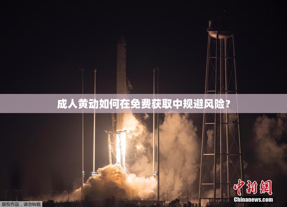 成人黄动如何在免费获取中规避风险？