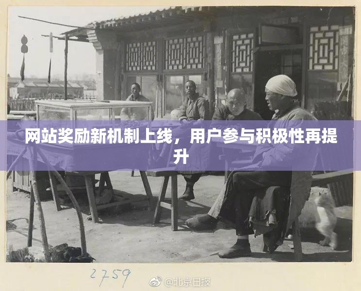 网站奖励新机制上线，用户参与积极性再提升