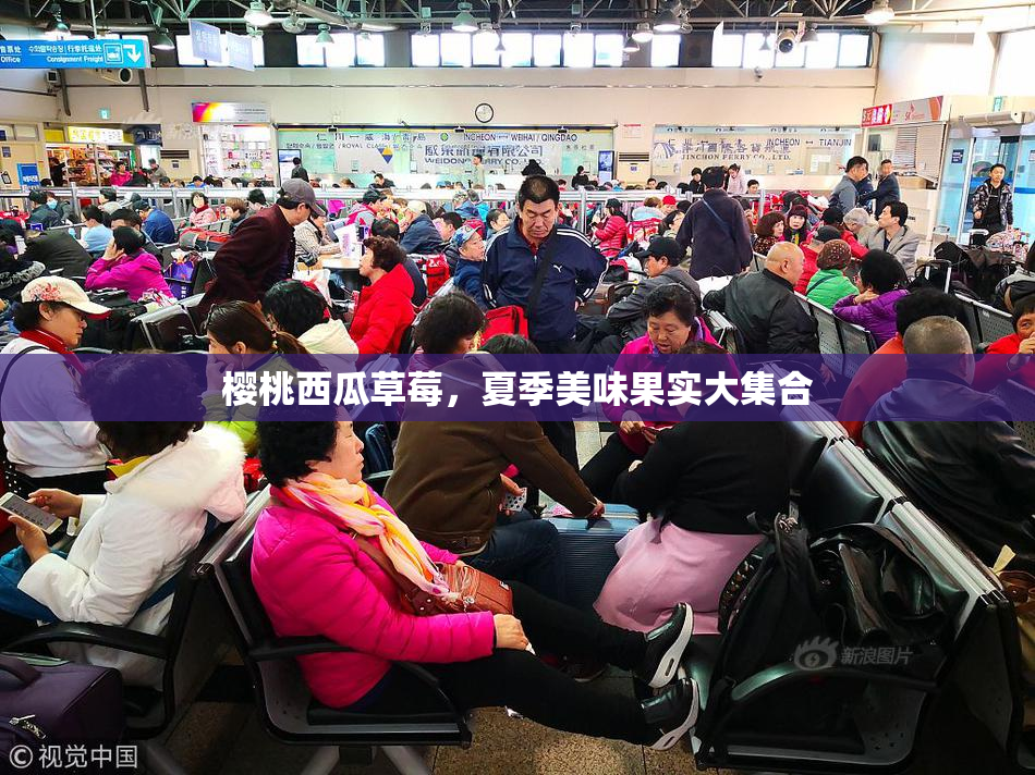 樱桃西瓜草莓，夏季美味果实大集合