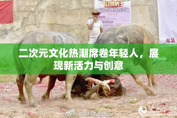 二次元文化热潮席卷年轻人，展现新活力与创意