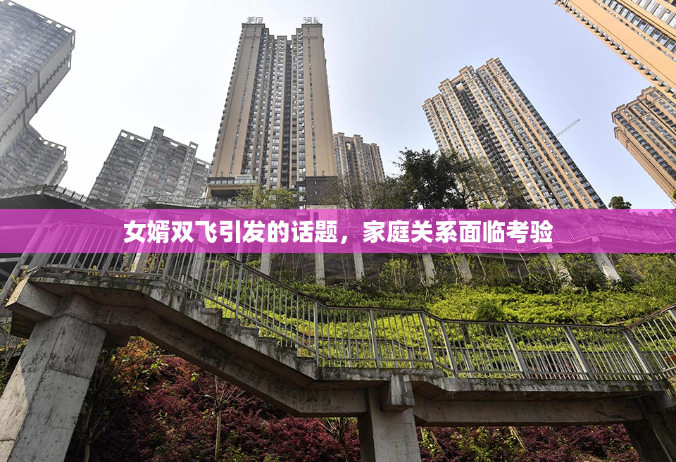 女婿双飞引发的话题，家庭关系面临考验