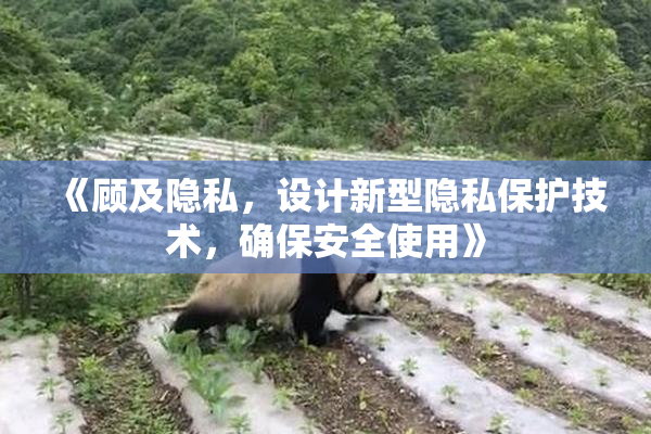 《顾及隐私，设计新型隐私保护技术，确保安全使用》